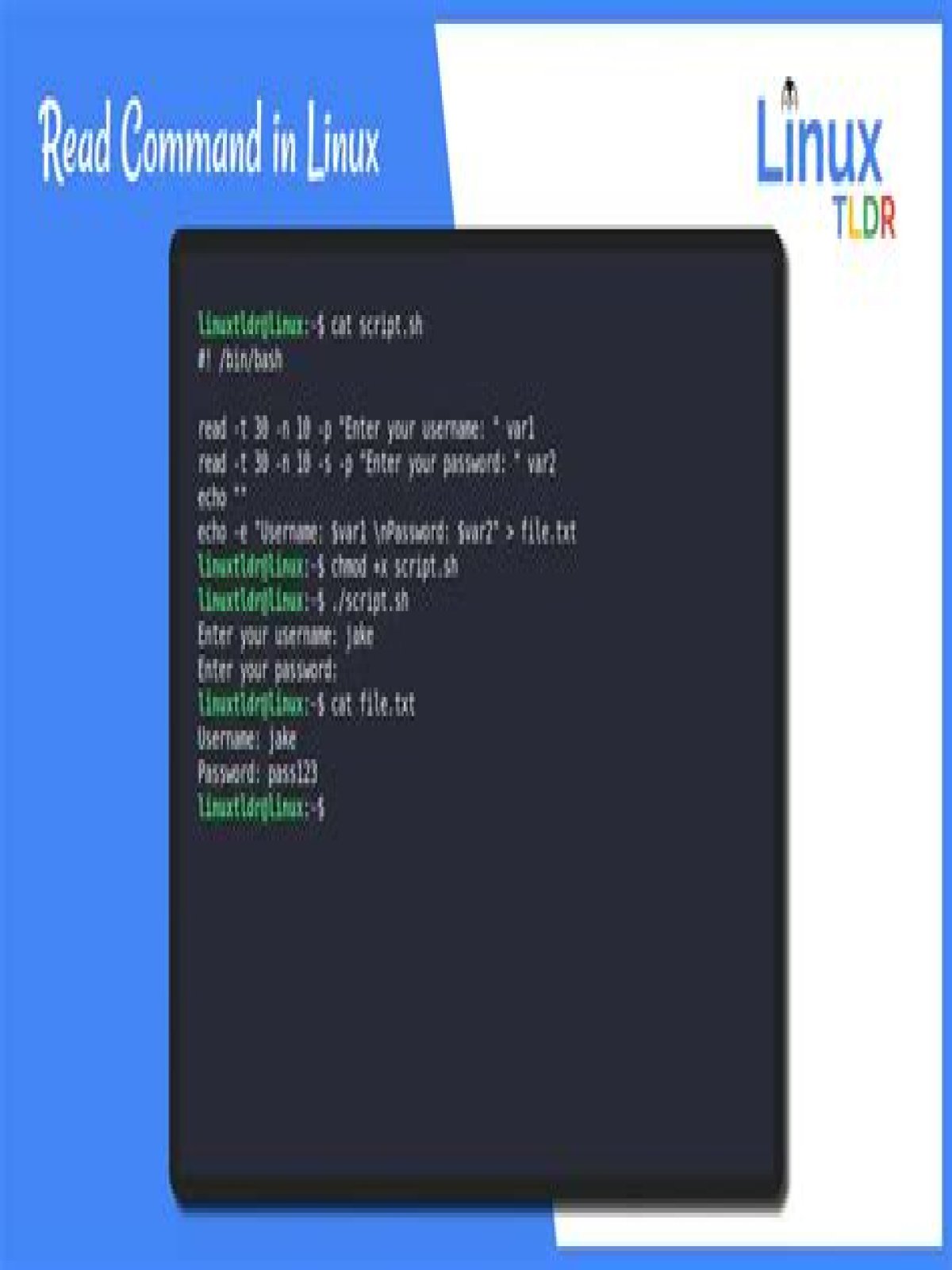 HTML