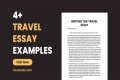 How do you write a trip status?