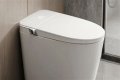What is compact elongated toilet